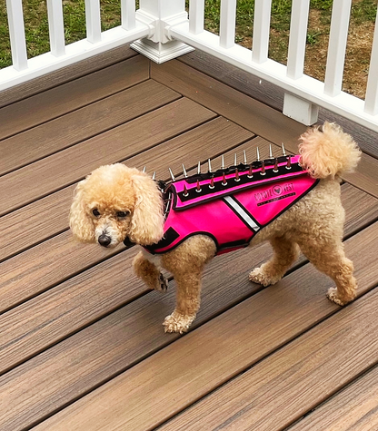 HawkVest
